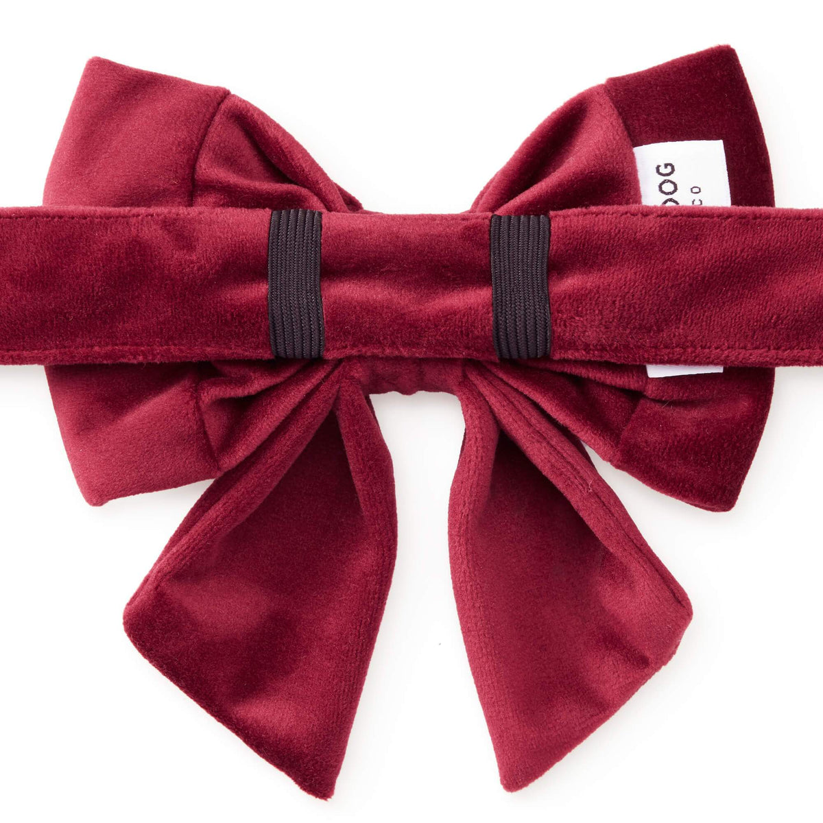 Burgundy Velvet Dog Collar with Removable Lady Bow