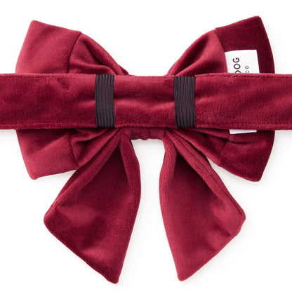 Burgundy Velvet Dog Collar with Removable Lady Bow