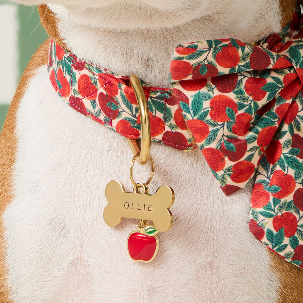 Bone-Shaped Gold Stainless Steel Dog ID Tag, Nickel-Free