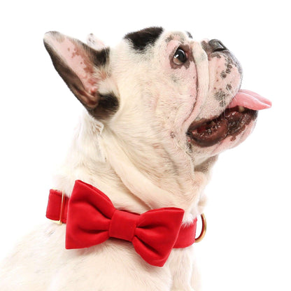 Red Velvet Dog Collar with Removable Bow Tie