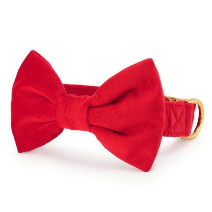 Red Velvet Dog Collar with Removable Bow Tie