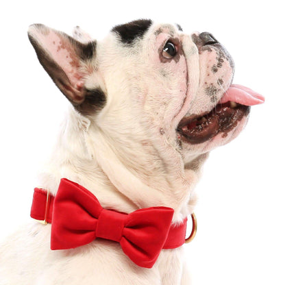 Red Velvet Dog Bow Tie, Collar Attachment