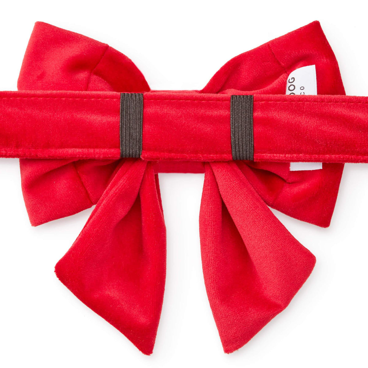 Red Velvet Dog Collar with Removable Lady Bow