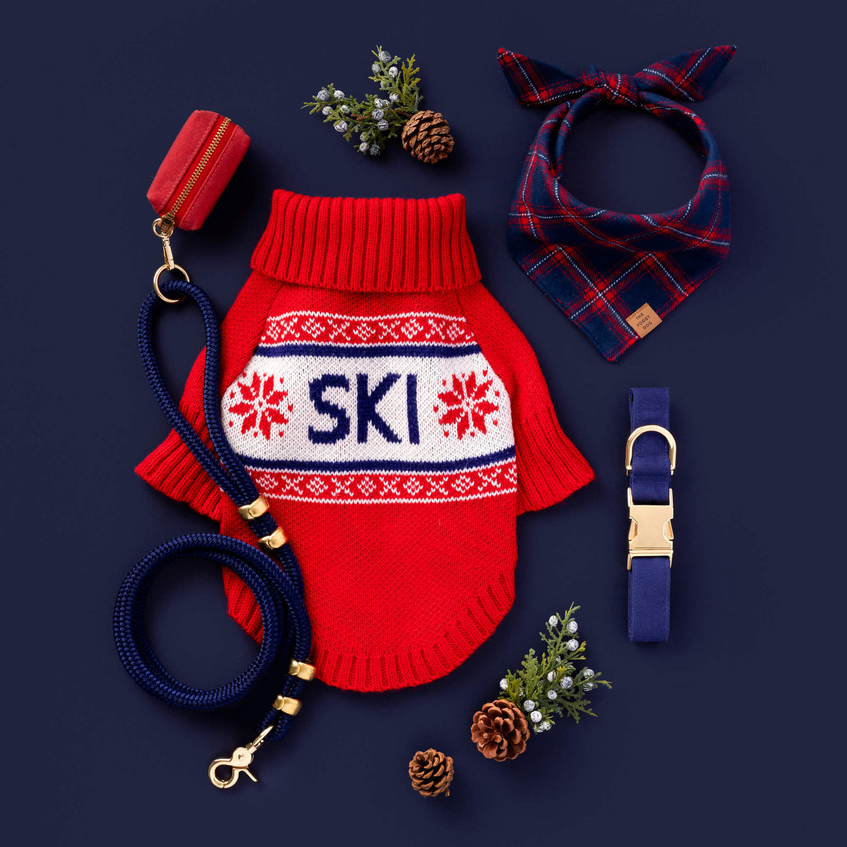 Navy Blue Cotton Dog Collar with Brass D-Ring