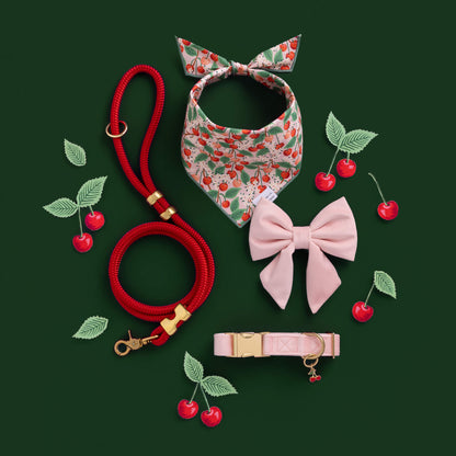 Blush Pink Velvet Dog Collar, Sizes XS to Large