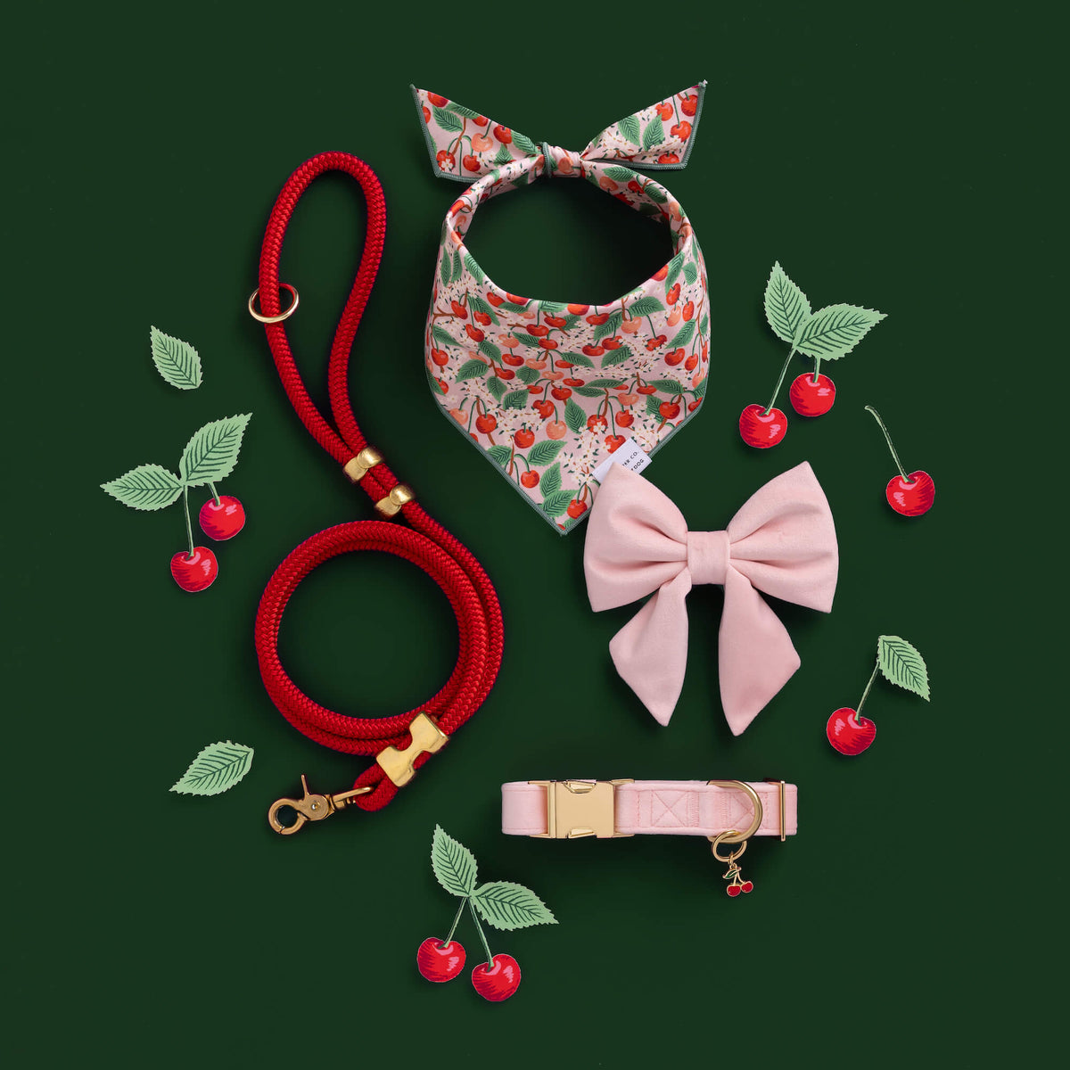 Blush Pink Velvet Dog Collar with Removable Lady Bow