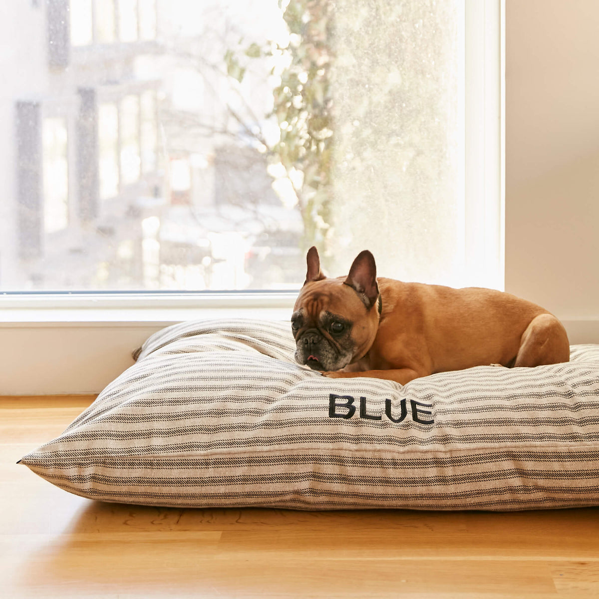 Brown Ticking Stripe Cotton Dog Bed with Removable Washable Cover