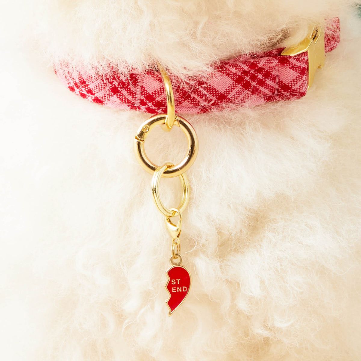 Red Double-Sided Enamel Hearts Dog Collar Charm Set