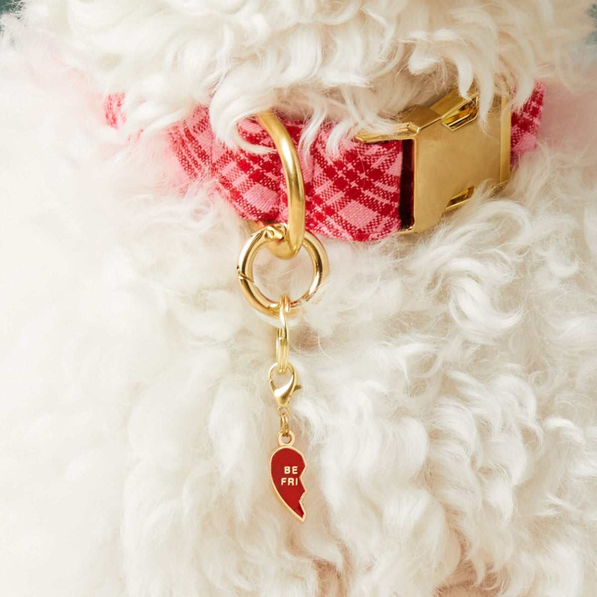 Red Double-Sided Enamel Hearts Dog Collar Charm Set