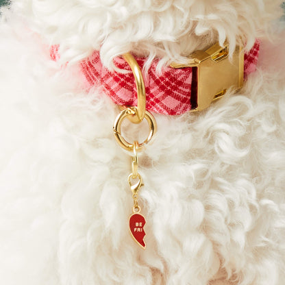Red Double-Sided Enamel Hearts Dog Collar Charm Set
