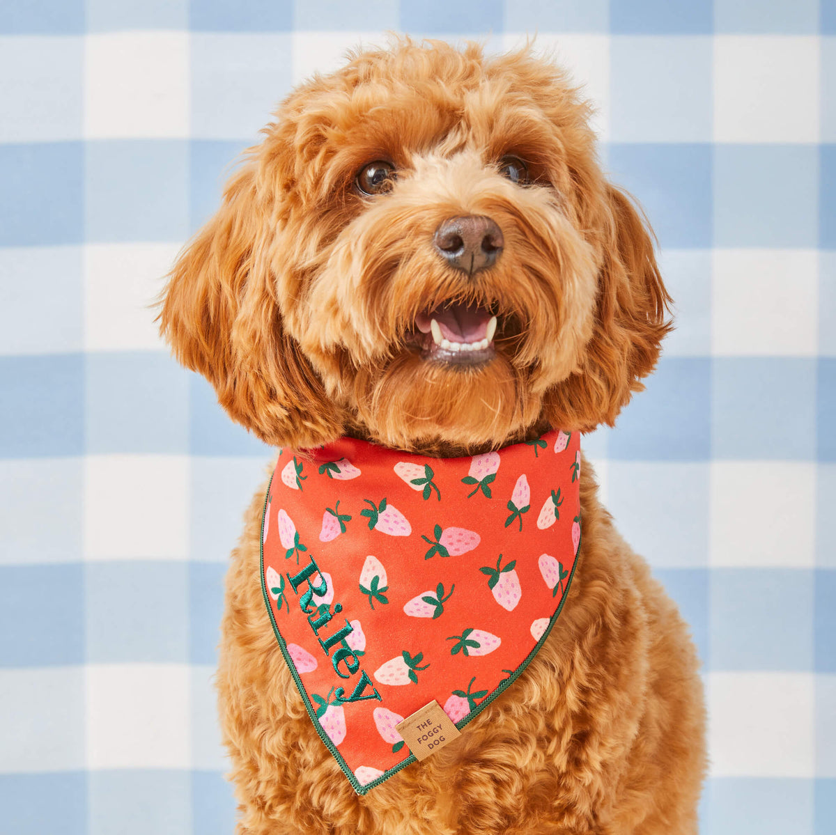 Red Strawberry Print Tie-On Dog Bandana with Dark Green Hem