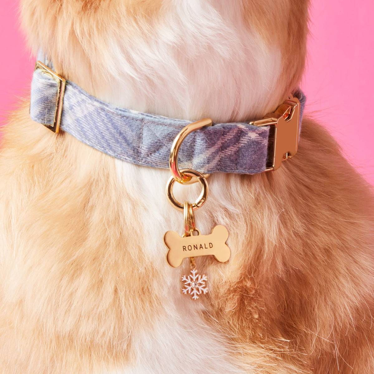 Enamel Snowflake Dog Collar Charm, Double-Sided