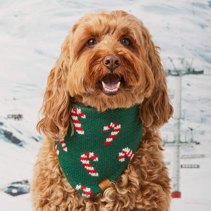 Green Candy Cane Sweater Knit Dog Bandana with Snap Closure