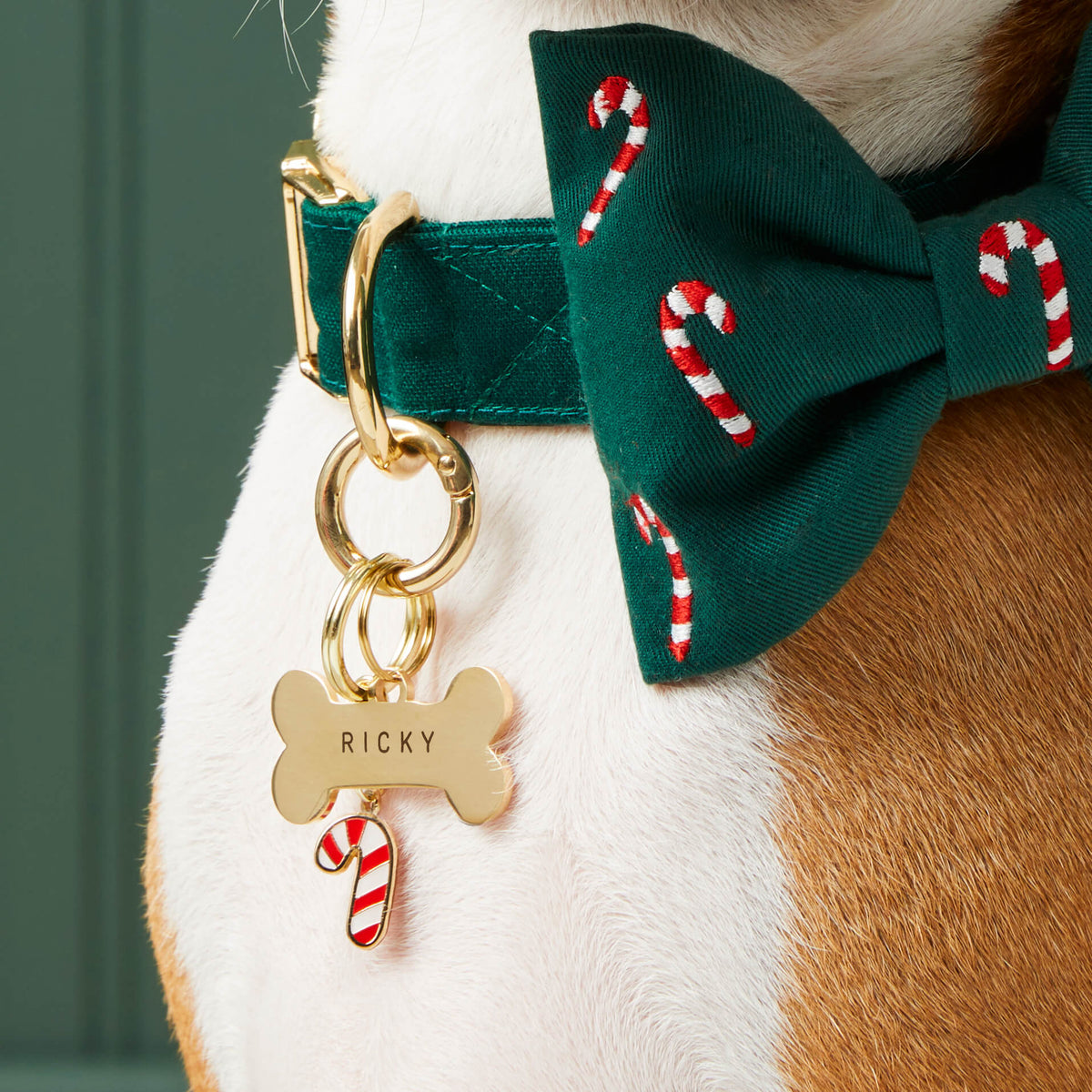 Bone-Shaped Gold Stainless Steel Dog ID Tag, Nickel-Free
