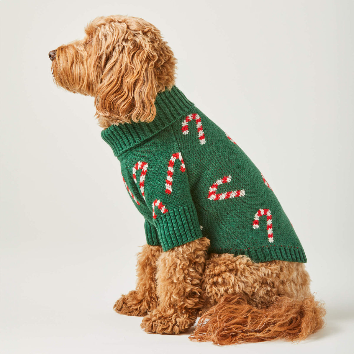 Green Candy Cane Knit Turtleneck Dog Sweater with Leash Hole