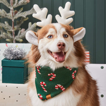 Green Candy Cane Sweater Knit Dog Bandana with Snap Closure