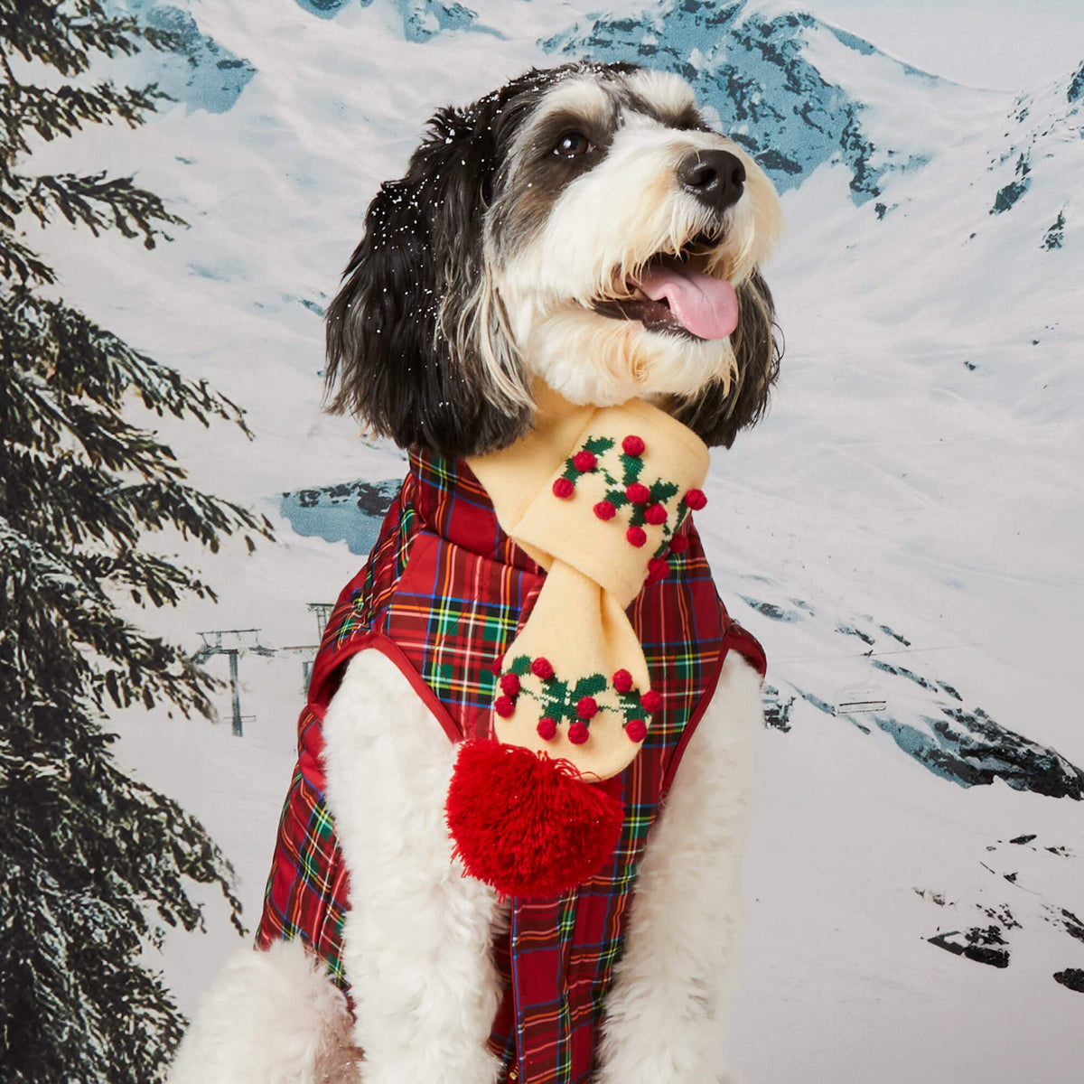 Cream Holly Bobble Knit Pull-Through Dog Scarf with Vegan Leather Tag