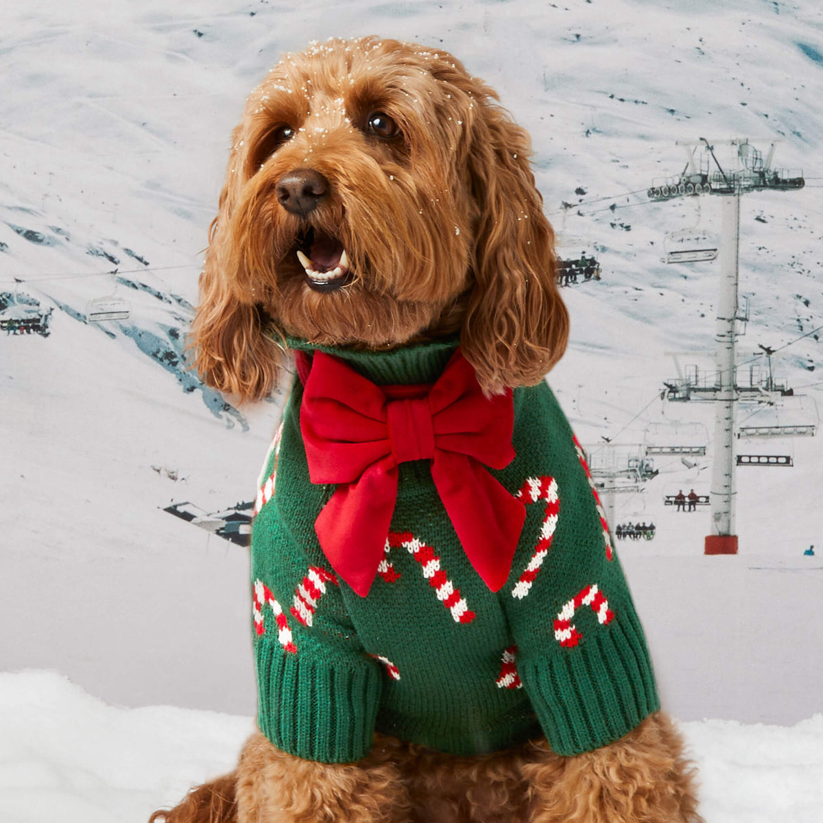 Green Candy Cane Knit Turtleneck Dog Sweater with Leash Hole