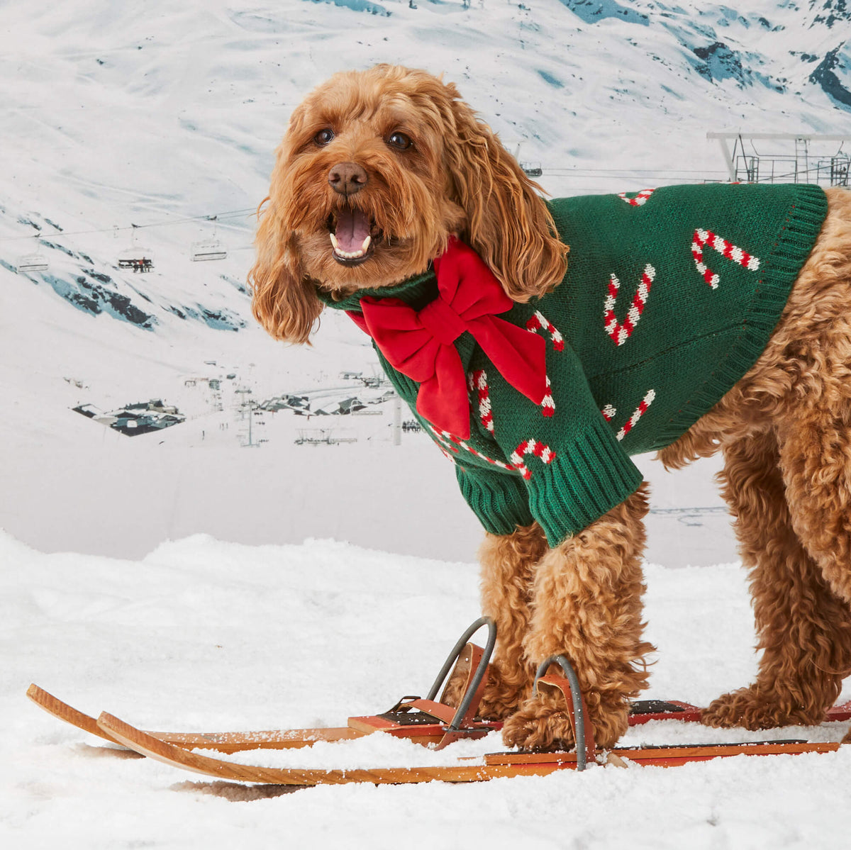 Green Candy Cane Knit Turtleneck Dog Sweater with Leash Hole