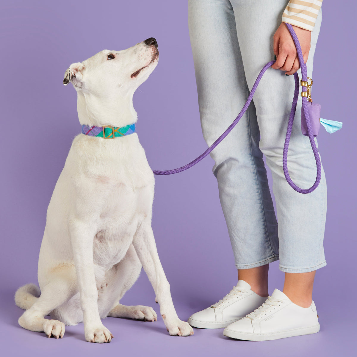Violet Marine Rope Dog Leash, 5 ft Double-Braided Nylon