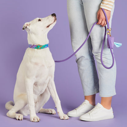 Violet Marine Rope Dog Leash, 5 ft Double-Braided Nylon