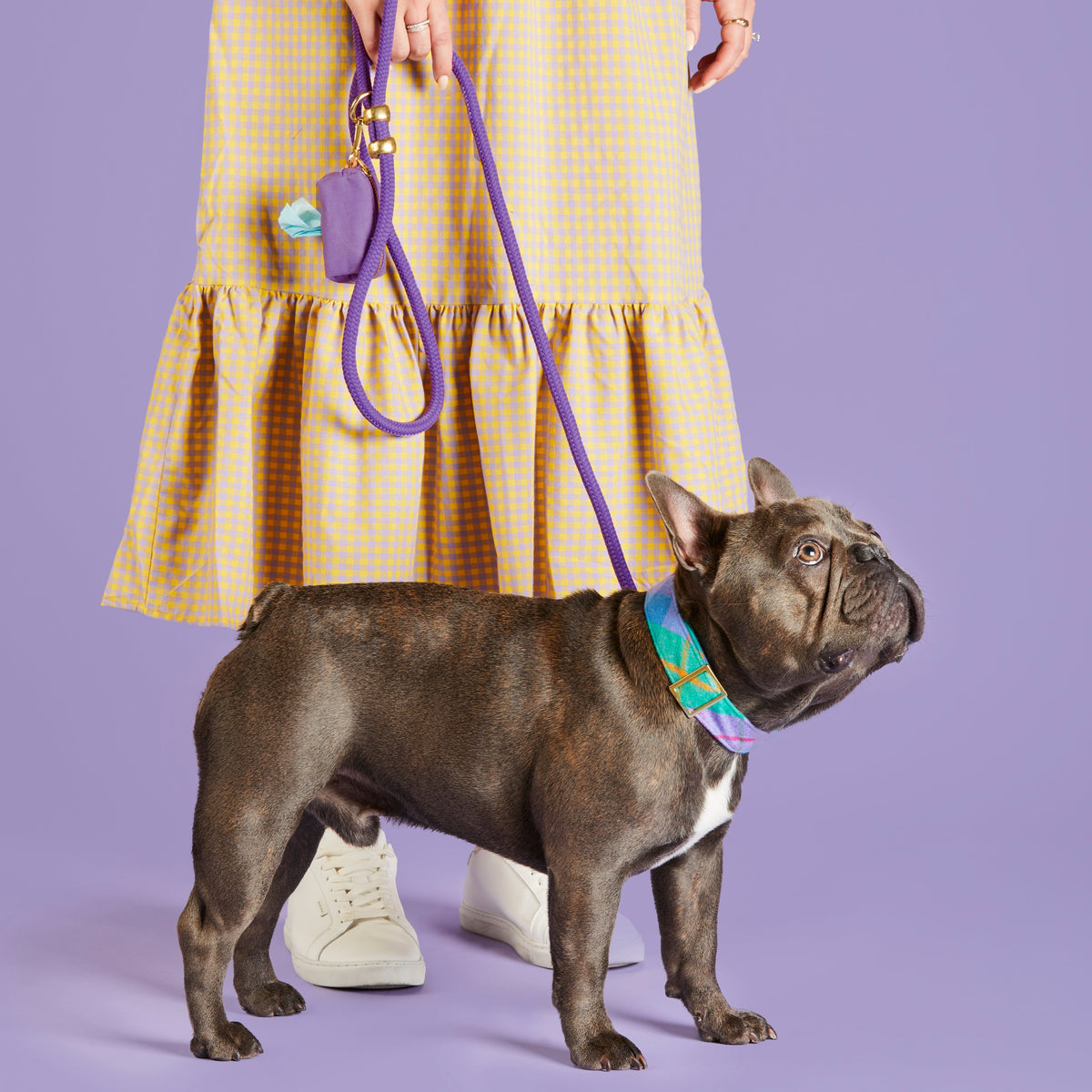 Violet Marine Rope Dog Leash, 5 ft Double-Braided Nylon