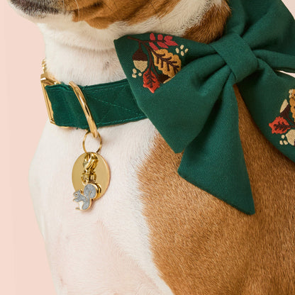 Gray Squirrel Enamel Dog Collar Charm, Double-Sided