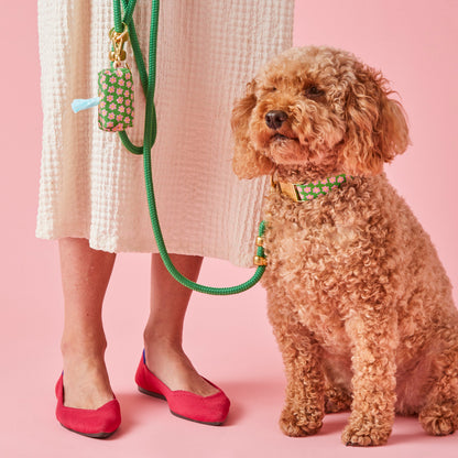 Grass Green Marine Rope Dog Leash, 5 ft Double-Braided