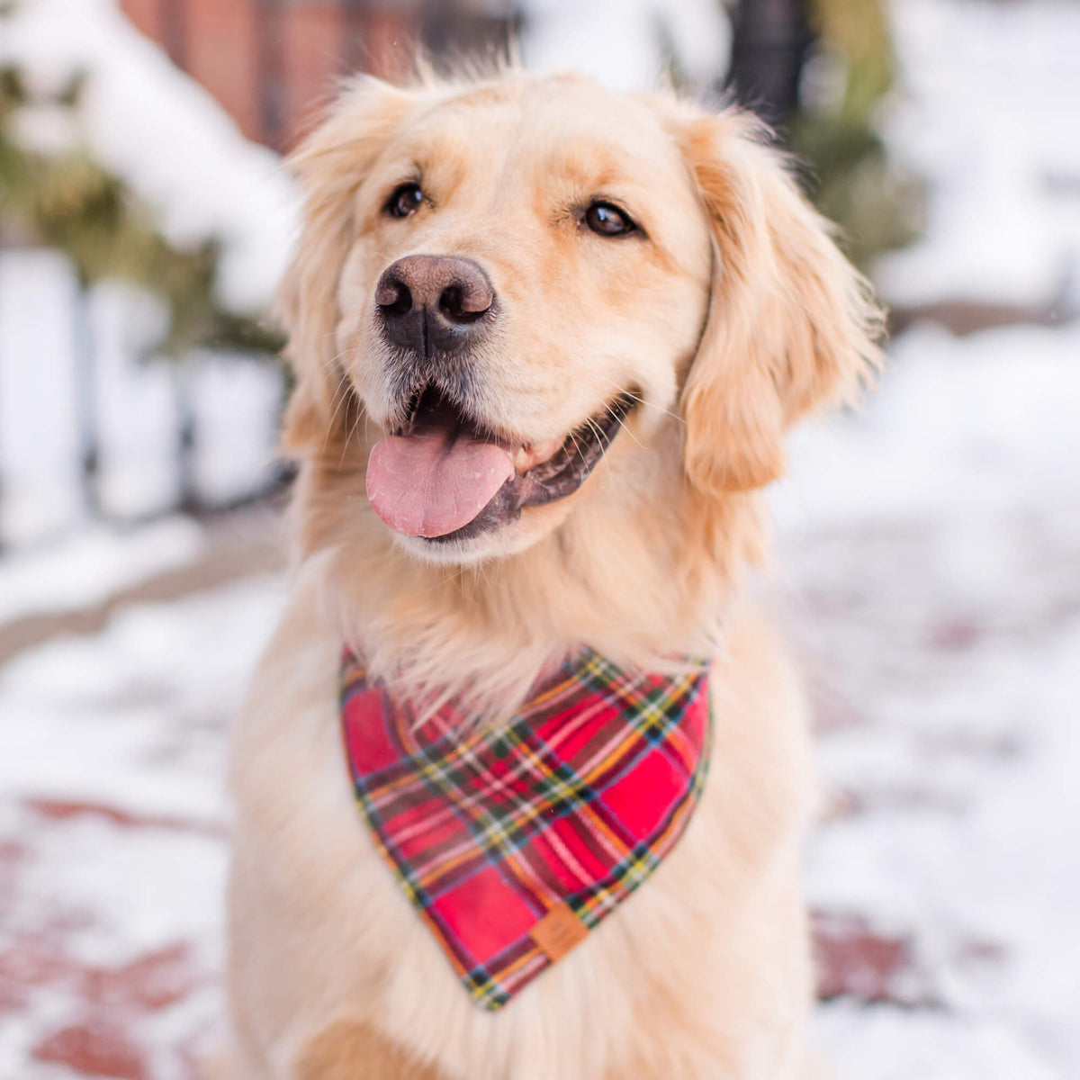 Red Tartan Plaid Flannel Dog Bandana, Tie-On Triangle Shape