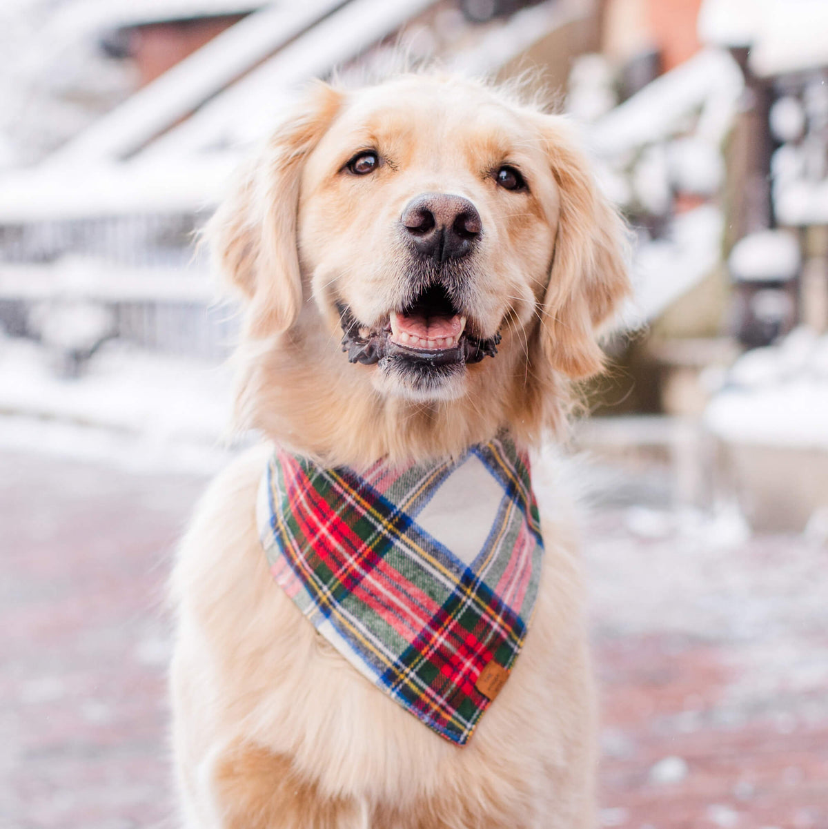 White, Green & Red Plaid Double-Layer Flannel Dog Bandana