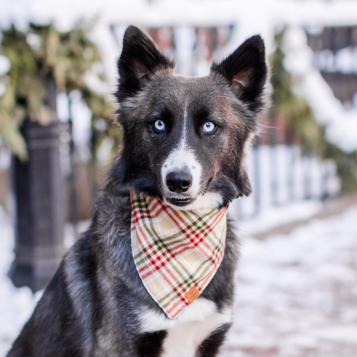 Tan & Red Plaid Cotton Flannel Dog Bandana with Vegan Leather Tag
