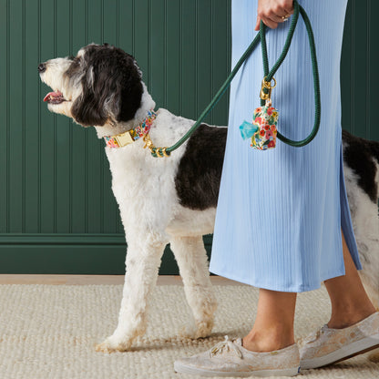Dark Green Marine Rope Dog Leash, 5 ft, Double-Braided Nylon
