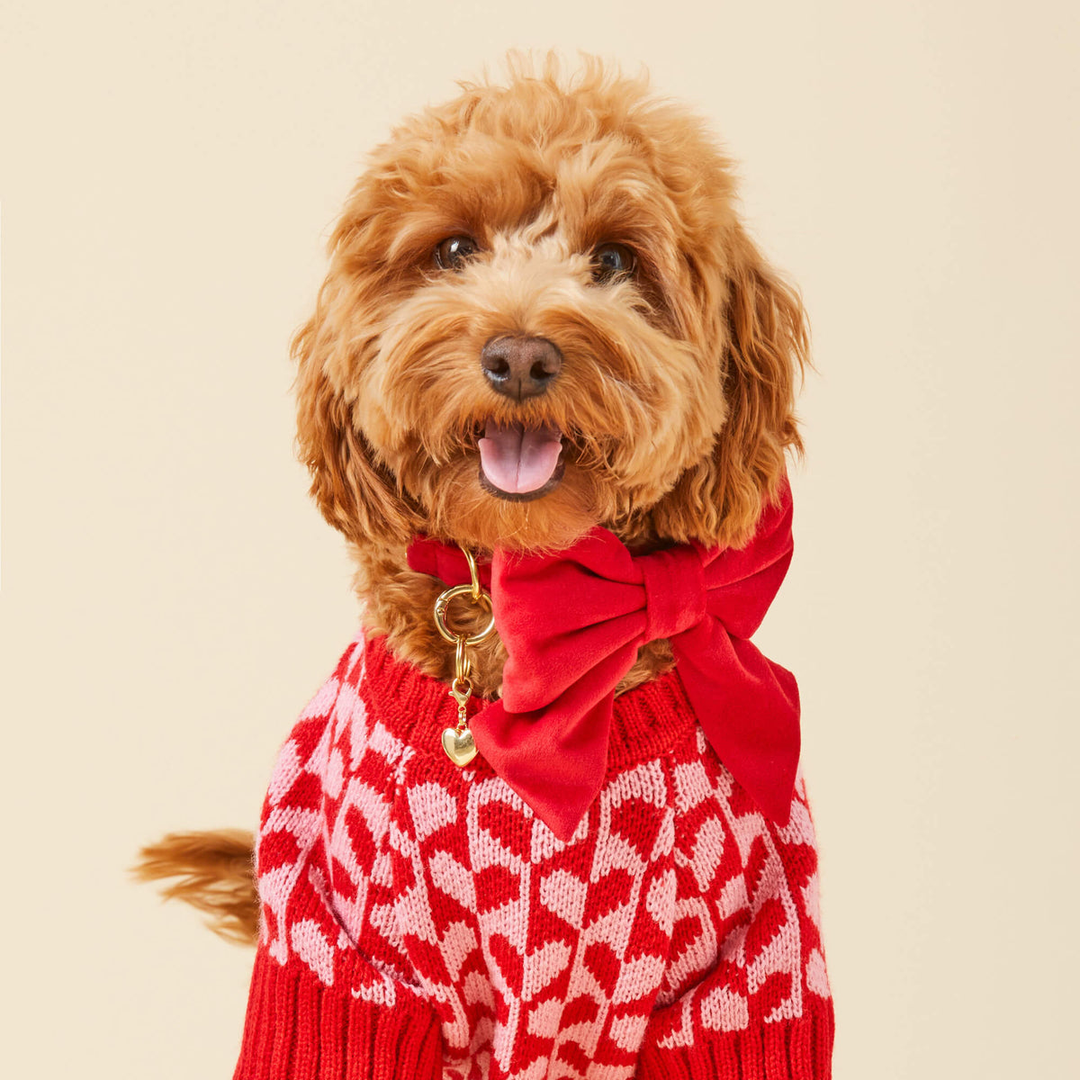 Red Velvet Sailor Bow for Dog Collars, Slide-On