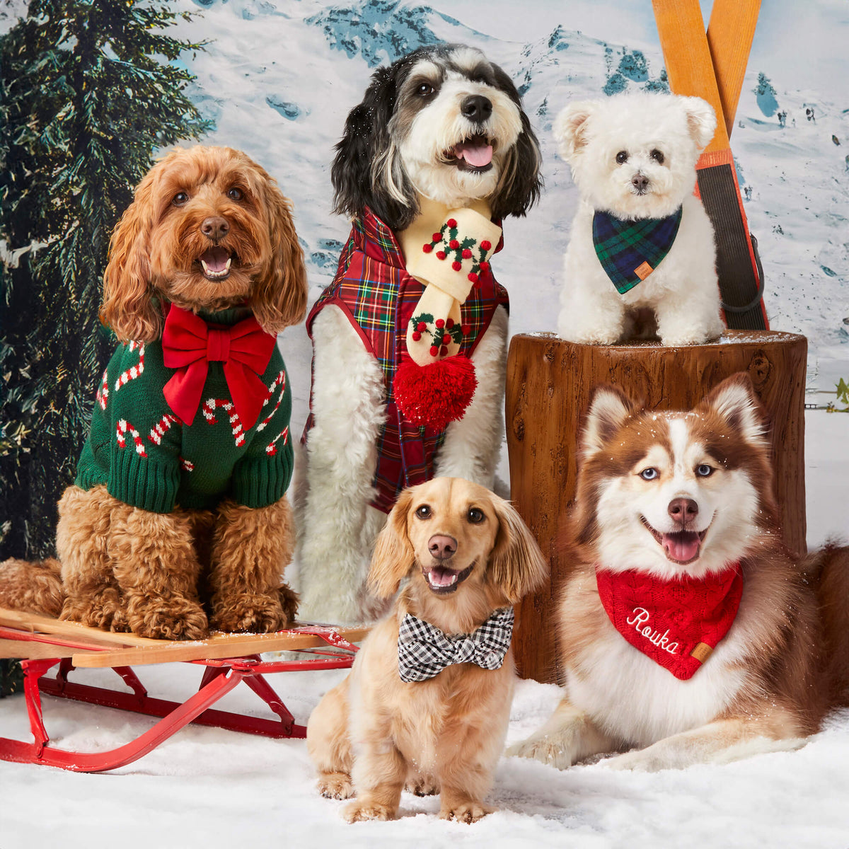 Red Cable Knit Dog Bandana with Snap Closure