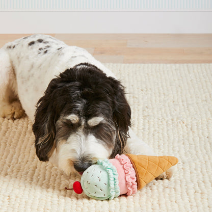 Ice Cream Cone Snuffle Dog Toy with Squeaker Ball