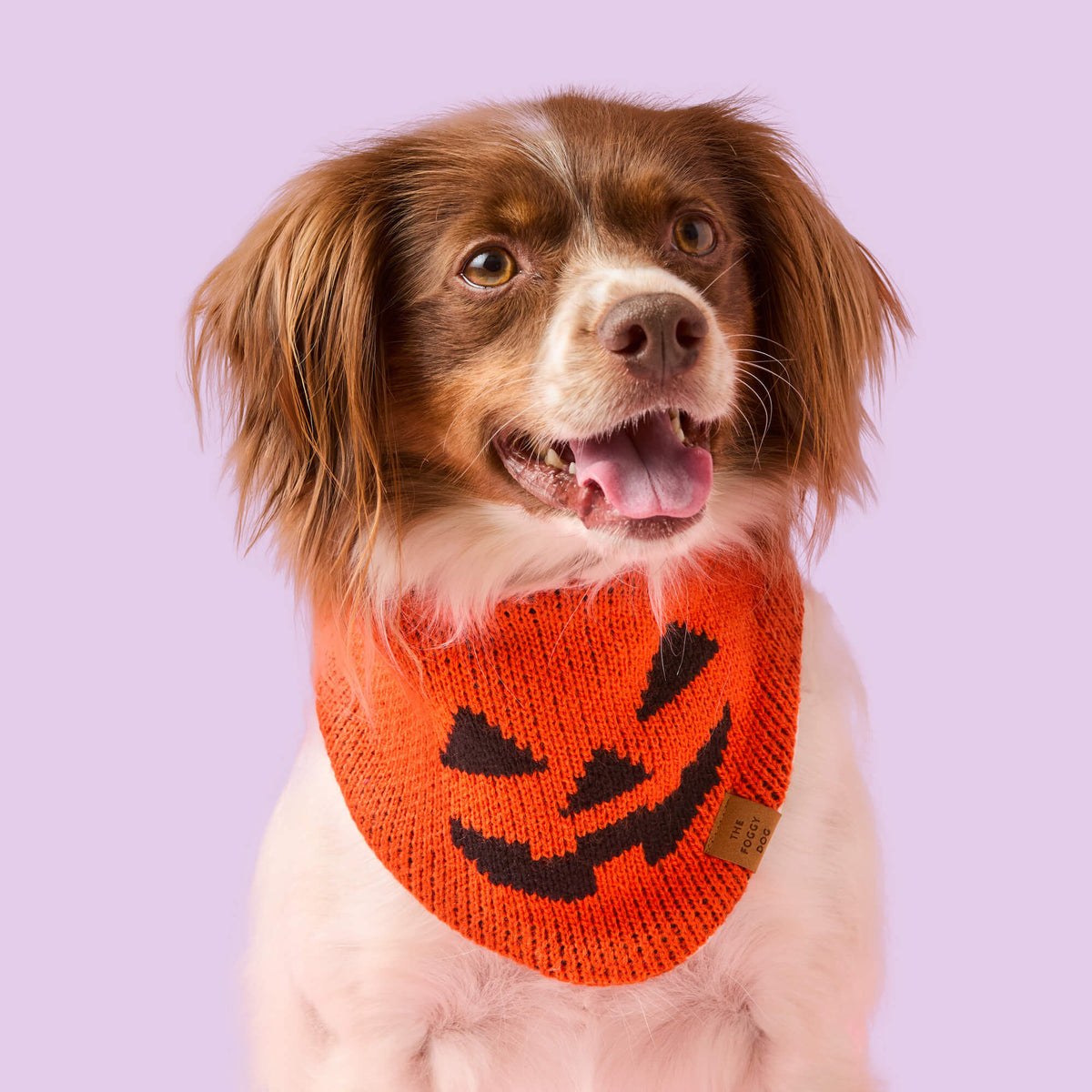 Jack-o'-Lantern Knit Dog Bandana with Snap Closure
