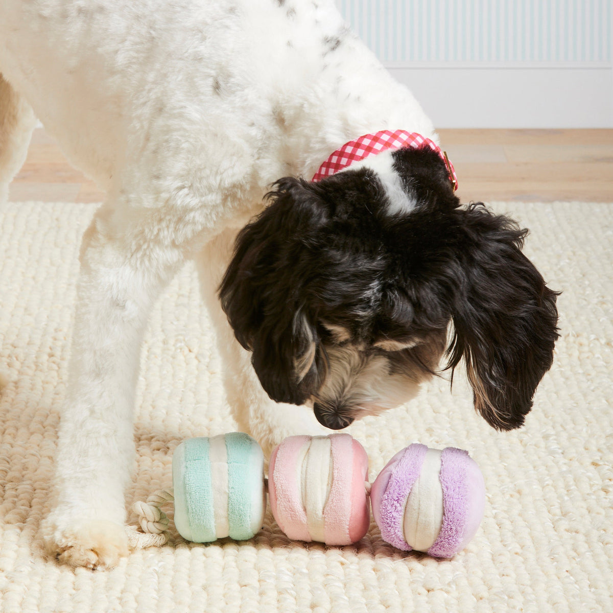 Macaron Snuffle Dog Toy with Hidden Treat Pockets and Squeaker