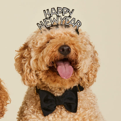 Black Velvet Dog Collar with Removable Bow Tie