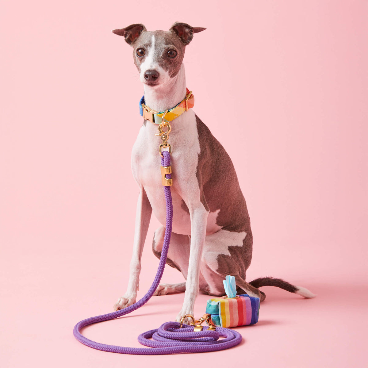 Violet Marine Rope Dog Leash, 5 ft Double-Braided Nylon