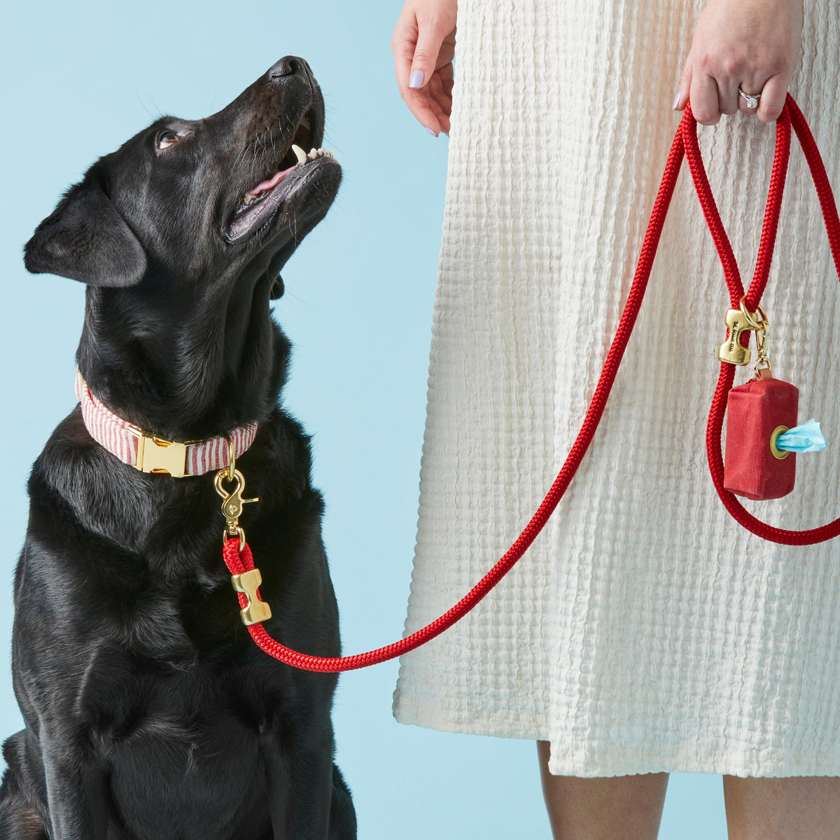 Ruby Red Waxed Canvas Dog Waste Bag Holder with Clip