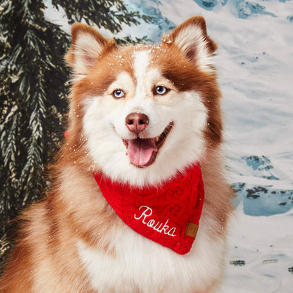 Red Cable Knit Dog Bandana with Snap Closure
