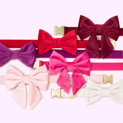 Red Velvet Dog Collar with Removable Bow Tie