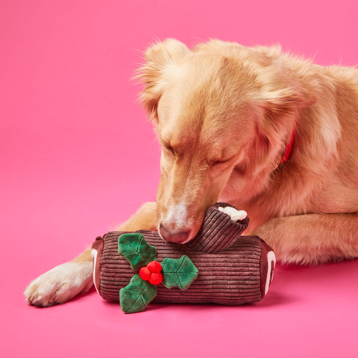Gingerbread House & Yule Log Interactive Snuffle Toy Set