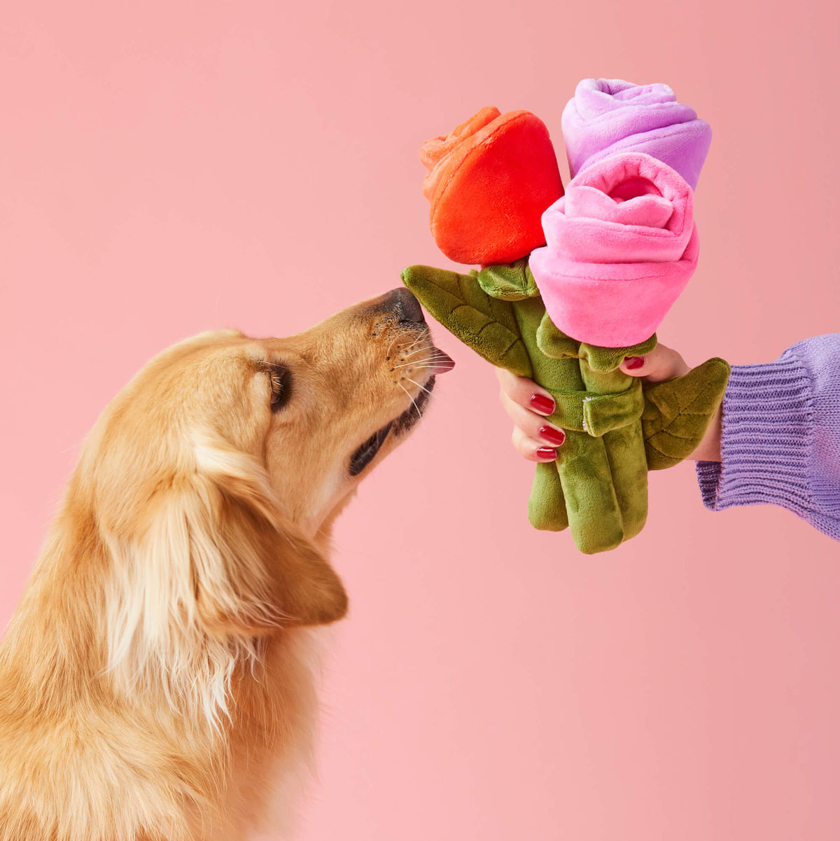 Bouquet of Roses Plush Snuffle Dog Toy with Hidden Treat Pockets
