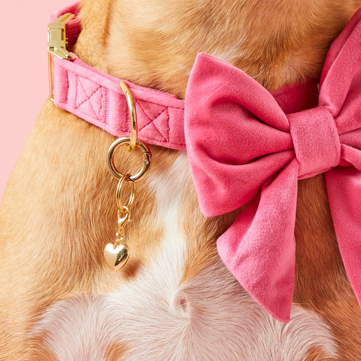 Gold Heart Dog Collar Charm, 14K Gold Plated