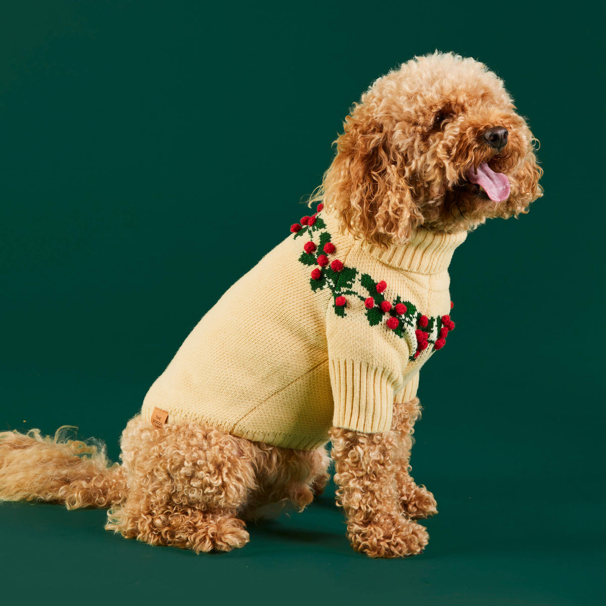 Cream Holly Berry Knit Turtleneck Dog Sweater with Leash Opening