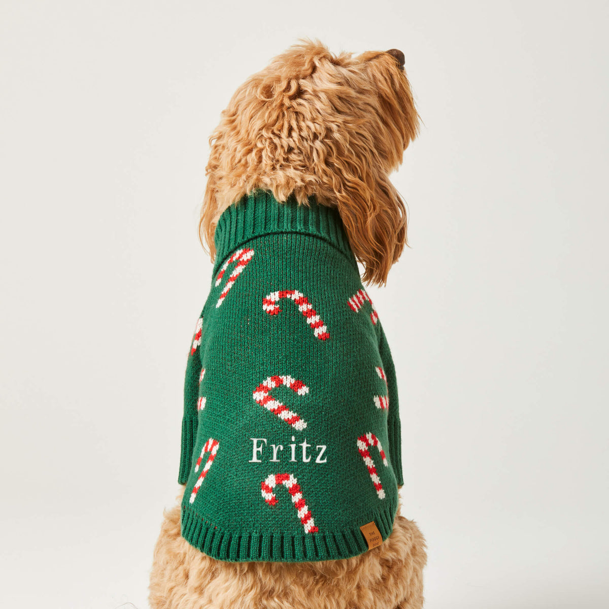 Green Candy Cane Knit Turtleneck Dog Sweater with Leash Hole