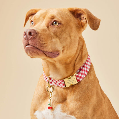 Red Gingham Dog Collar with Metal Hardware