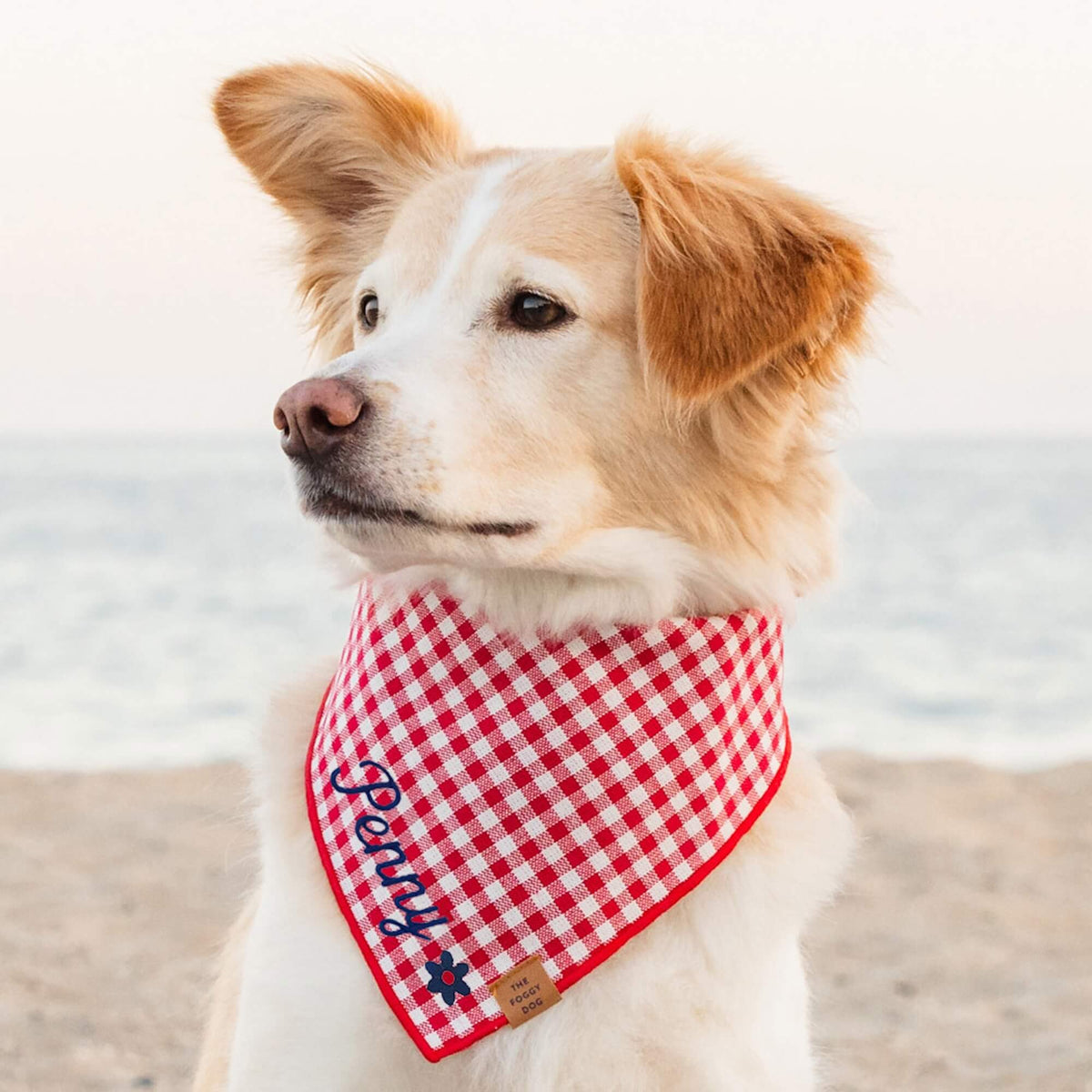 Red Gingham Tie-On Dog Bandana with Red Hem
