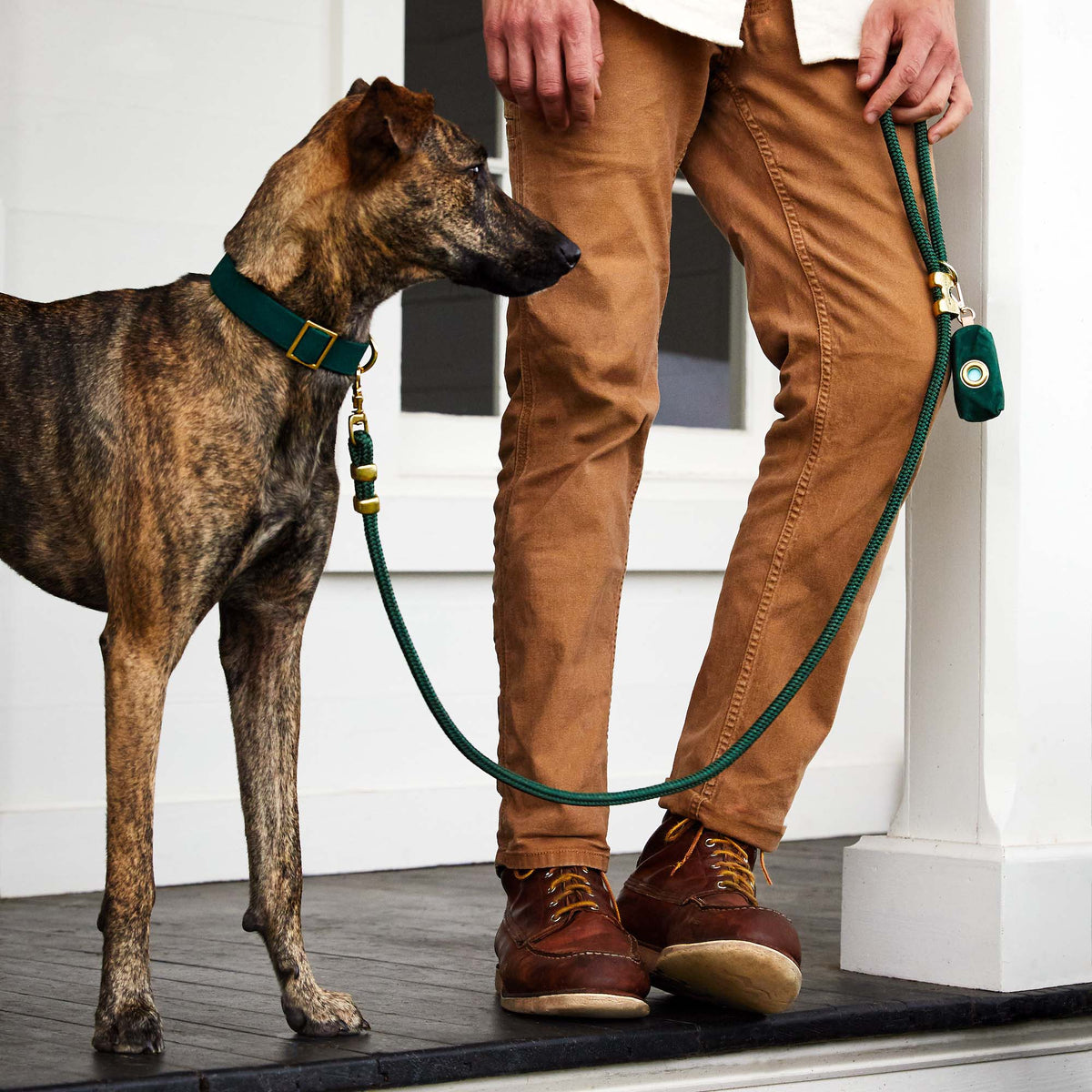 Forest Green Dog Collar, Rope Leash & Waste Bag Holder Set